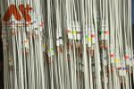 Bionet eCG trunk cable Cardiocare 2000 Cardiotouch 3000 Cardio 7 Machine