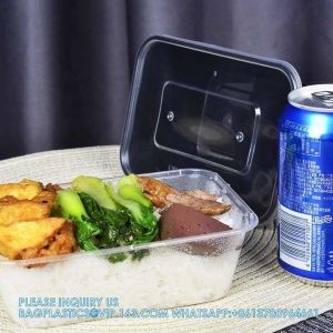 500 Ml Disposable Lunch Box Rectangular Bento Transparent Plastic Tableware
