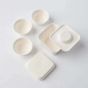 China Sugarcane Pulp Board Box , Truemeetfun Eco Friendly Packaging For Tea factory