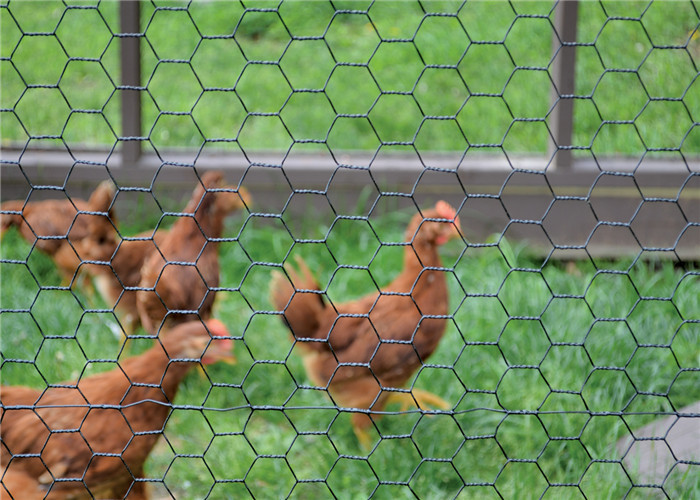 High Strength Welded Hexagonal Wire Netting , PVC Coated Green Chicken Wire Mesh