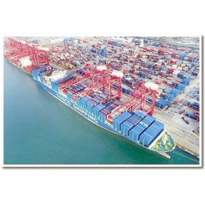 China Import Export Shipping From America on sale