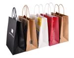 Sustainable Compostable Custom Takeaway Bags For Shops Business Food