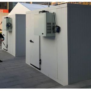 China Refrigeration Unit Large Cool Storage Room With Monoblock Cooling Unit on sale