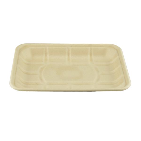 100% Biodegradable Disposable Sugarcane Bagasse Compostable Pulp Food Tray 8
