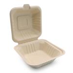 Sugar Cane Bamboo Pulp Hamburger Box Camping Parties Lunches Food Packaging