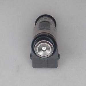 China Magneti Marelli IWP 048 Fuel Injector Peugeot Fuel Injector CITROEN VW LUPO SPORT GTI VTS factory