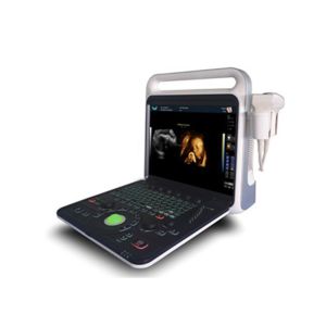 4D Function Optional Laptop Hand Held Doppler Machine With Transducer 2~12MHz