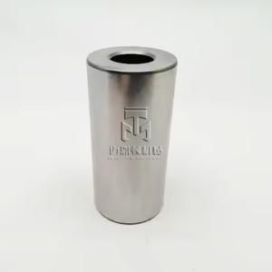 China Piston Pin 04200139 4200139 0420 0139 for deutz BFM1013 engine factory