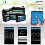 12 Volt Deep Cycle Golf Cart Battery Bluetooth Lifepo4 Convenient