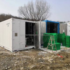 1500KG Per Day Automatic Animal Fodder Sprout Container Hydroponic Barley Growing System