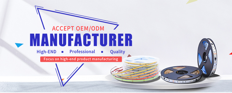 5000mm 600 Led Ribbon Strip 2 Row SMD5050 Rgbw Led Tape