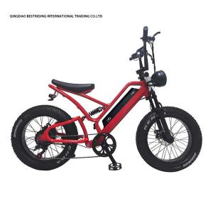 China 48V10Ah Lithium Battery 5000w Electric Bike For Adults 20 Inch Fat Tire Ebike factory