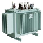 Oil immersed transformer