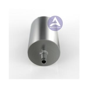 China BIODENTA® B0 B1 B2 Yenadent 14mm Titanium Premill Block YPM331 YPM332 YPM333 factory