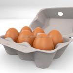 Large Output Egg Box Forming Machine Waste Paper Tray Packaging