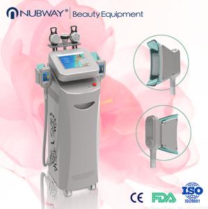 China Fat freezing reduction Cryolipolysis Slimming Machine with touch screen factory