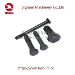 China Clip Bolt for Rail Fishplate, Railway Fasteners Hex Head Bolt factory