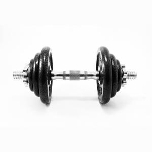 China Adjustable Cast Iron Weight Disc Dumbbell Spinlock Set factory