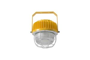 China Rugged LED Explosion-Proof Light Waterproof Durable Energy-Efficient Food Processing Industry factory