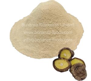 China Sell Certified Kosher Soup Ingredient Freeze Dried Shiitake Mushroom Powder factory