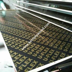 China Brown film faced plywood with logo for middle east market, WBP construction shuttering plywood, building wood panel factory