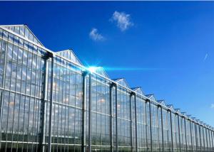 China Hollow Glass Style Agricultural Greenhouse With Hot Galvanized Steel Frame factory