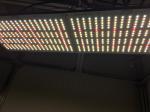 576pcs Chips 240Watt Full Spectrum LED Grow Lights