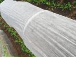 Sustainable Packaging Bags Fabric Spun-Bonded Nonwoven with Biodegradable