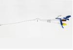 Double Lumen Central Venous Catheters CVC Catheters Kits For Hospital