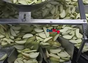 China Waterproof Multihead Weighing Machine For Apple Slices 2000gram factory