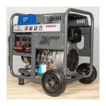 2023 Wholesale AC Output Type Good Quality Electric 10kVA Price 5,5 kW Mini