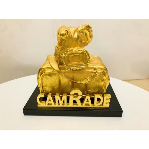 China Bags And Cameras Custom Tophy Cup As Souvenirs Or Gifts For Clients factory