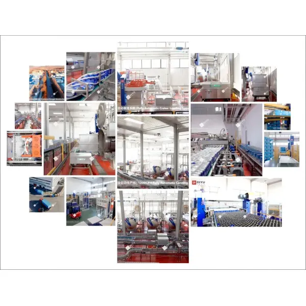 Indutrial Depalletizer for Bottle and Can Packing System