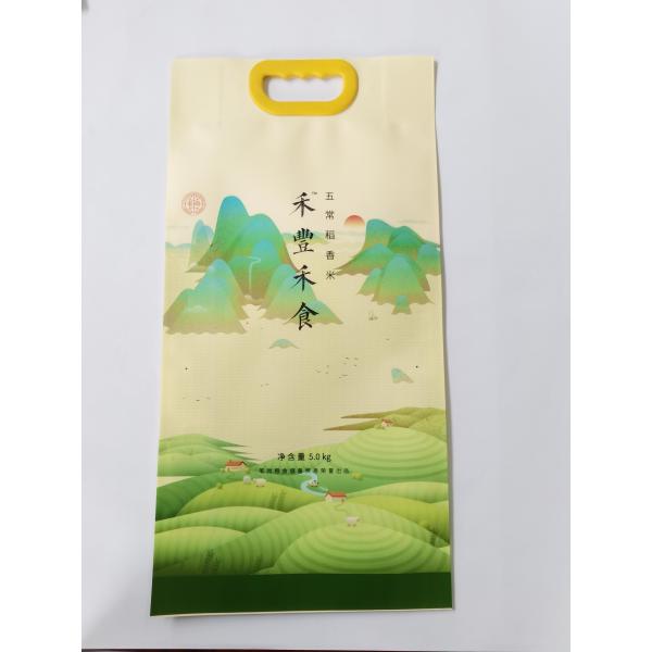 China Moderate Thickness Composite Paper Poly Bag Capacity 5kg With Handle factory