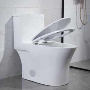 China Glazed Ceramic Siphonic Dual Flush One Piece Toilet 12 Inch Rough In factory