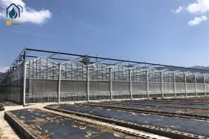 China Hot Galvanized Steel Pipe Tempered Glass Greenhouse 8m 9.6m 12m Span Width factory