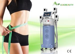 China Newest CE certification 2000W cryolipolysis machine fat freezing slimming factory