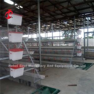 China Automatic 380v Manure Removal Equipment Poultry Chicken House Floor Scraper Ada factory