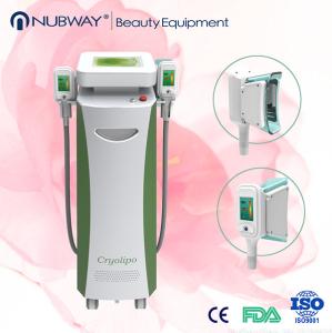 China Vacuum Cryolipolysis Body Slimming System For Figure Shaping With 10.4 Inch Screen factory