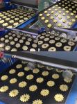 Type 400 Automatic Industrial Cookie Machine Maker 220V PLC Controlled