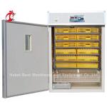 1056 22582 Egg Hatching Incubator ABS Fully Automatic Egg Incubator For Discount