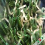 Super Soft Classic Landscape Artificial grass For Decoration Novel Color