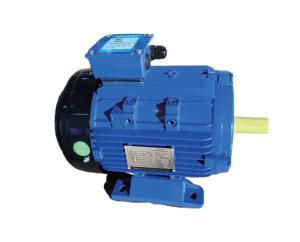 China 1 Phase Three Phase Asynchronous Electric Motor factory