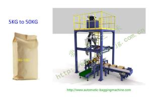 China DCS-25V Multi Scales Valve Bag Automatic Packing &amp; Palletizing Machine Line factory