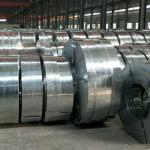 Q195 / Q235 Cold Rolled Steel Strip , High Strength Hot Dip Galvanized Coils
