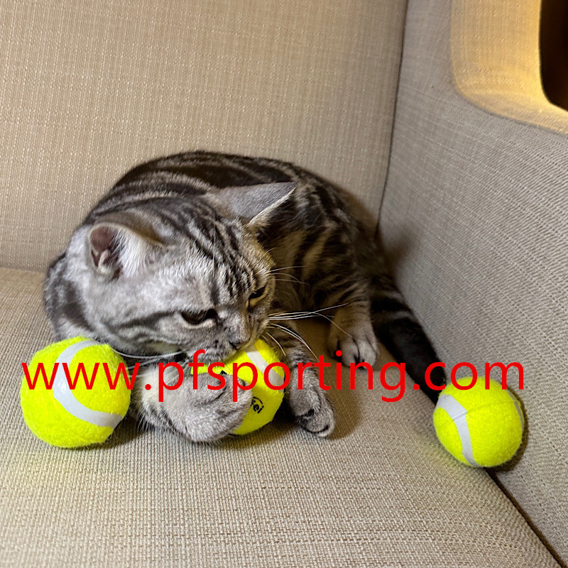 large dog tennis ball