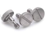 Customized Stainless Steel DIN 465 Slotted Knurled Thumb Screws fasteners