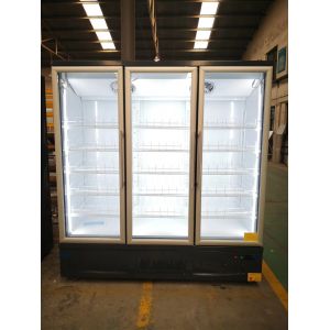 Air Cooling Commercial Upright Freezer / Upright Display Cooler R290 Refrigerant