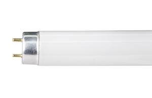 China 83 CRI T8 Tri-phosphor Tubular Fluorescent Lamp G13 10000hours factory