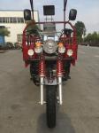 Rickshaw 1.8m*1.2m 175cc 3 Wheel Petrol Tricycle